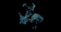 Full zebrahub single cell dataset, rotating 3D umap, 